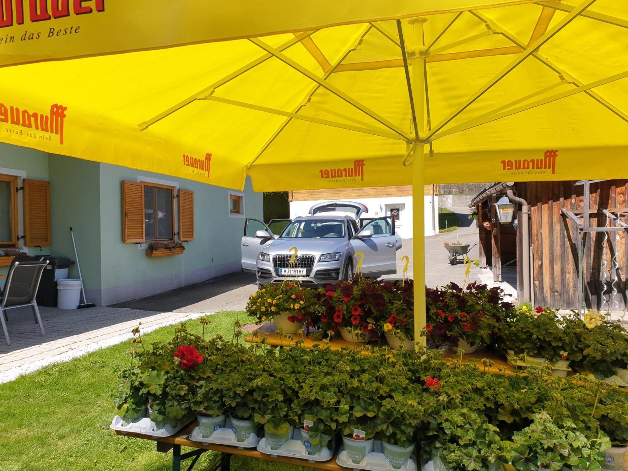 ferienhausfindling St.Lambrecht Sankt Lambrecht Exterior foto
